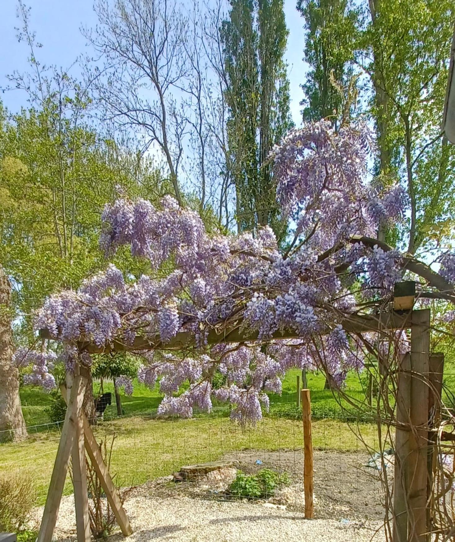 Nature Et Moi Wittes Zewnętrze zdjęcie